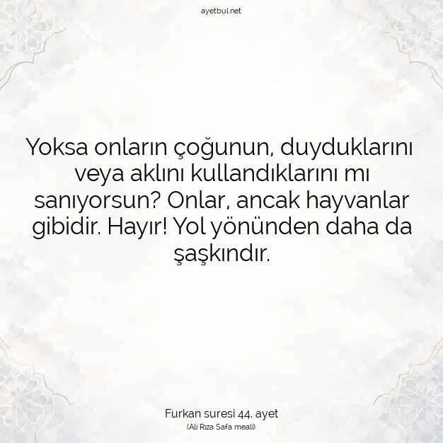 Ayetbul | Kuran Mealleri | Quran | Furkan suresi 44. ayet