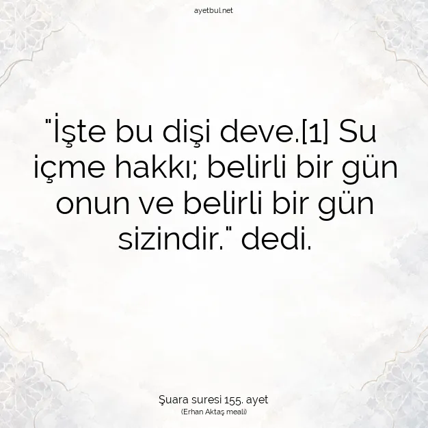 Ayetbul | Kuran Mealleri | Quran | Şuara suresi 155. ayet