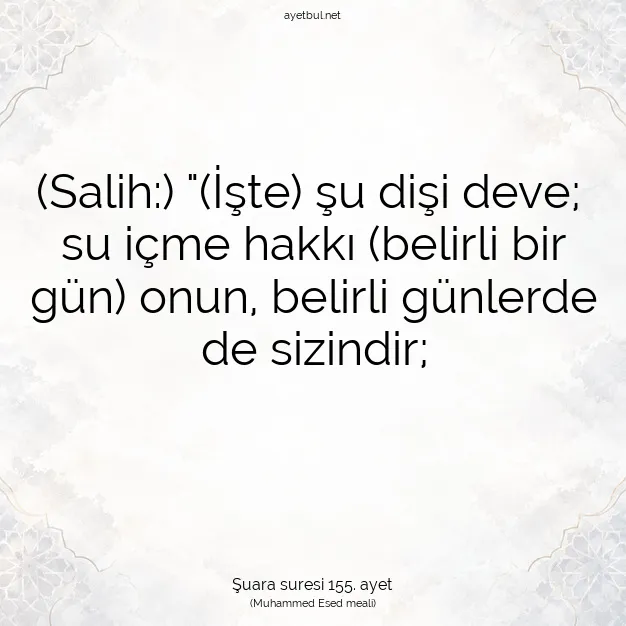 Ayetbul | Kuran Mealleri | Quran | Şuara suresi 155. ayet