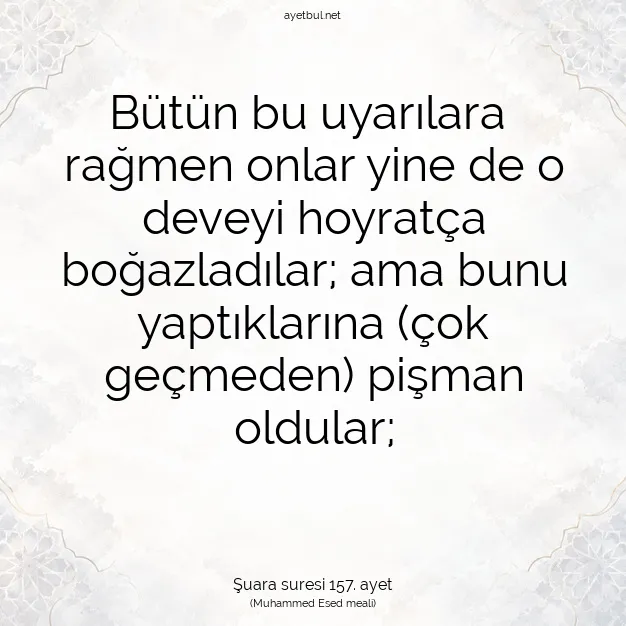Ayetbul | Kuran Mealleri | Quran | Şuara suresi 157. ayet