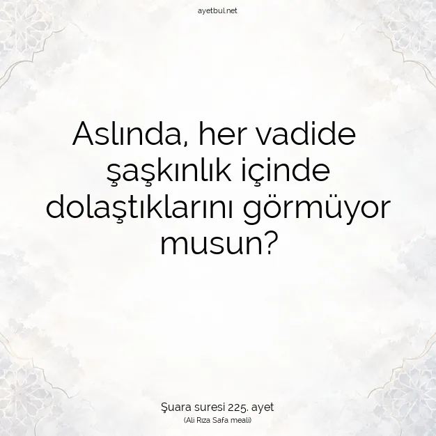 Ayetbul | Kuran Mealleri | Quran | Şuara suresi 225. ayet