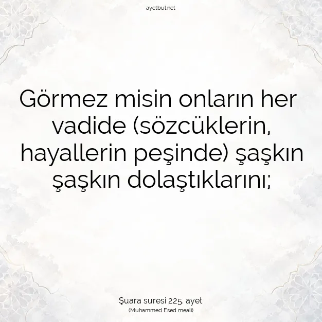 Ayetbul | Kuran Mealleri | Quran | Şuara suresi 225. ayet