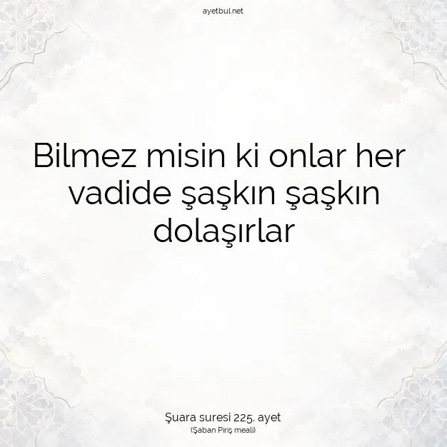 Ayetbul | Kuran Mealleri | Quran | Şuara suresi 225. ayet