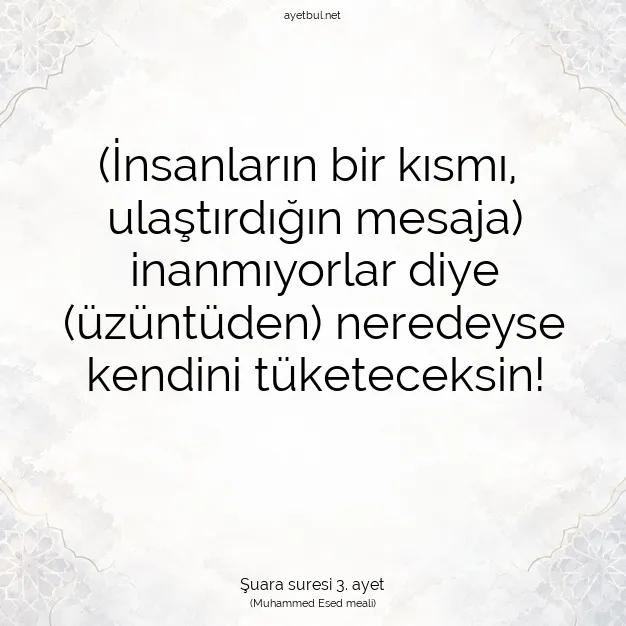 Ayetbul | Kuran Mealleri | Quran | Şuara suresi 3. ayet