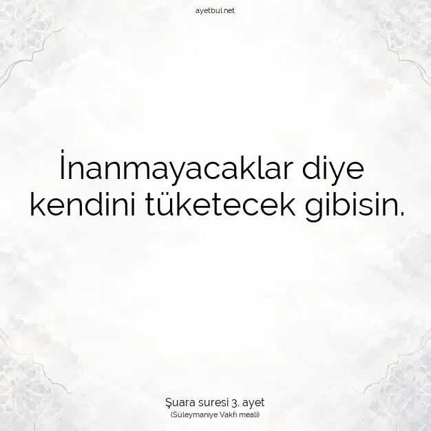 Ayetbul | Kuran Mealleri | Quran | Şuara suresi 3. ayet