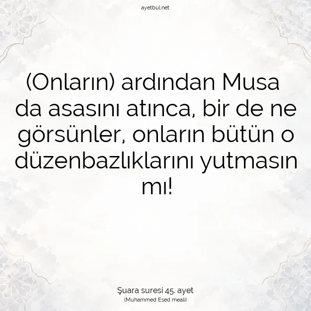 Ayetbul | Kuran Mealleri | Quran | Şuara suresi 45. ayet