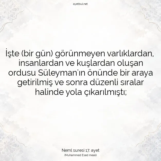 Ayetbul | Kuran Mealleri | Quran | Neml suresi 17. ayet