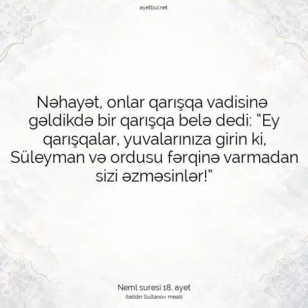 Ayetbul | Kuran Mealleri | Quran | Neml suresi 18. ayet