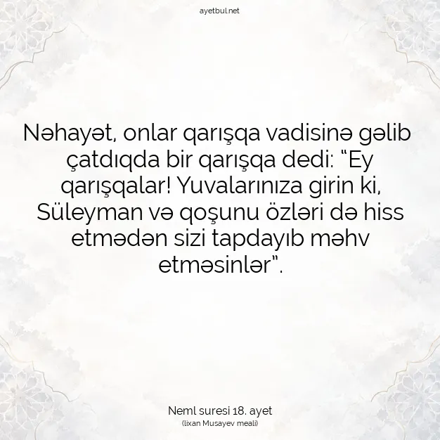 Ayetbul | Kuran Mealleri | Quran | Neml suresi 18. ayet