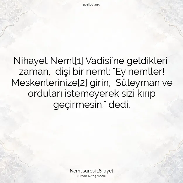 Ayetbul | Kuran Mealleri | Quran | Neml suresi 18. ayet