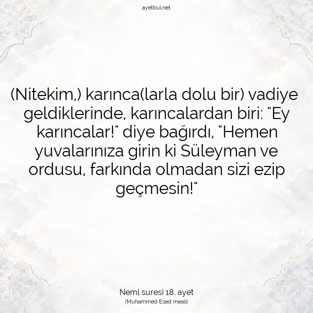 Ayetbul | Kuran Mealleri | Quran | Neml suresi 18. ayet