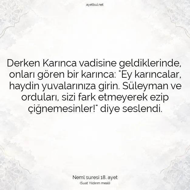 Ayetbul | Kuran Mealleri | Quran | Neml suresi 18. ayet