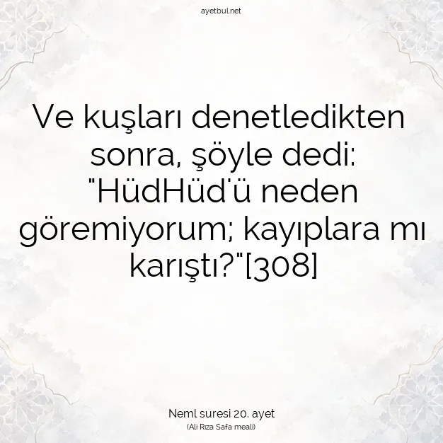 Ayetbul | Kuran Mealleri | Quran | Neml suresi 20. ayet