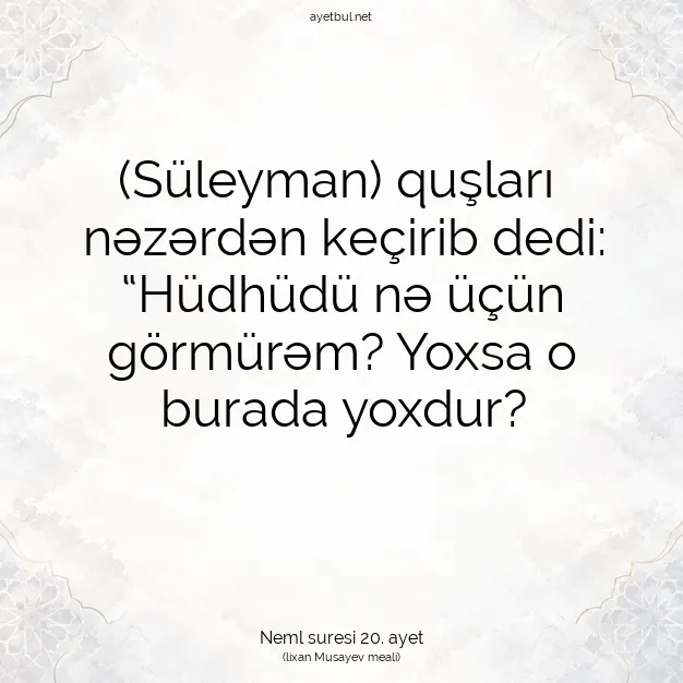 Ayetbul | Kuran Mealleri | Quran | Neml suresi 20. ayet