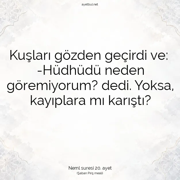 Ayetbul | Kuran Mealleri | Quran | Neml suresi 20. ayet