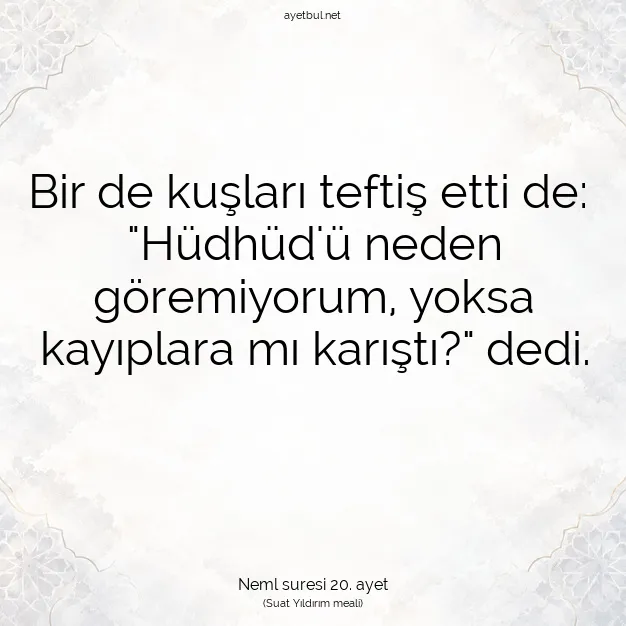 Ayetbul | Kuran Mealleri | Quran | Neml suresi 20. ayet