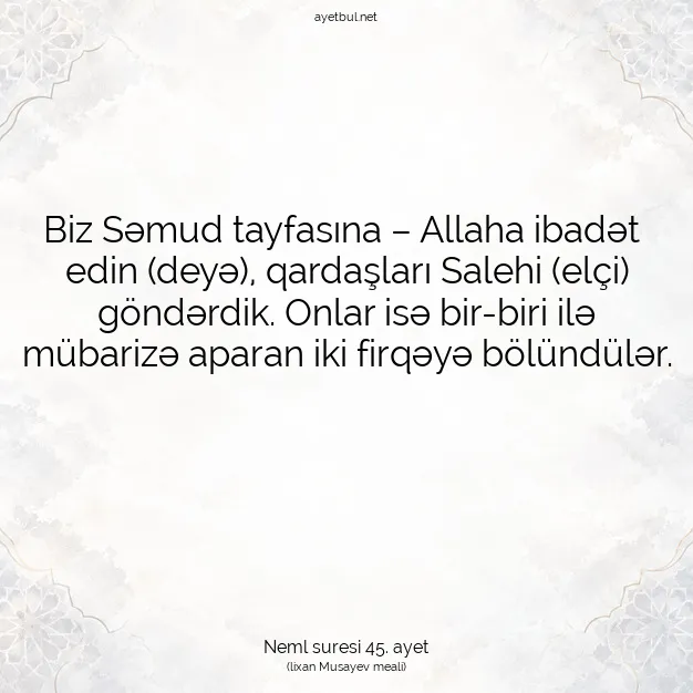 Ayetbul | Kuran Mealleri | Quran | Neml suresi 45. ayet
