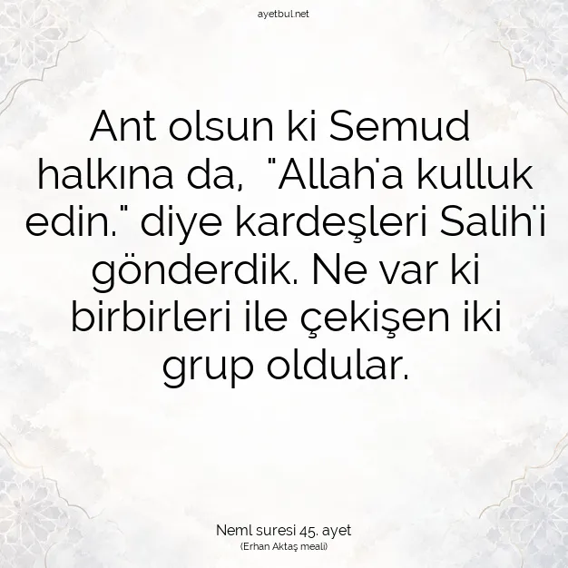 Ayetbul | Kuran Mealleri | Quran | Neml suresi 45. ayet