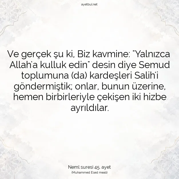 Ayetbul | Kuran Mealleri | Quran | Neml suresi 45. ayet