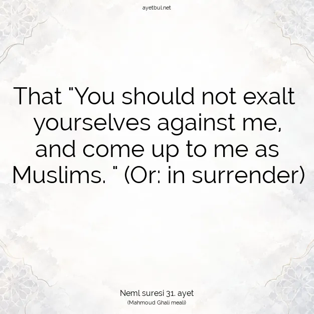 Ayetbul | Kuran Mealleri | Quran | Neml suresi 31. ayet
