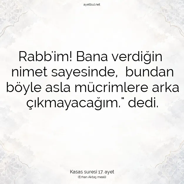 Ayetbul | Kuran Mealleri | Quran | Kasas suresi 17. ayet