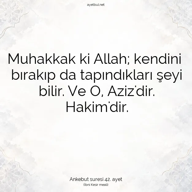 Ayetbul | Kuran Mealleri | Quran | Ankebut suresi 42. ayet