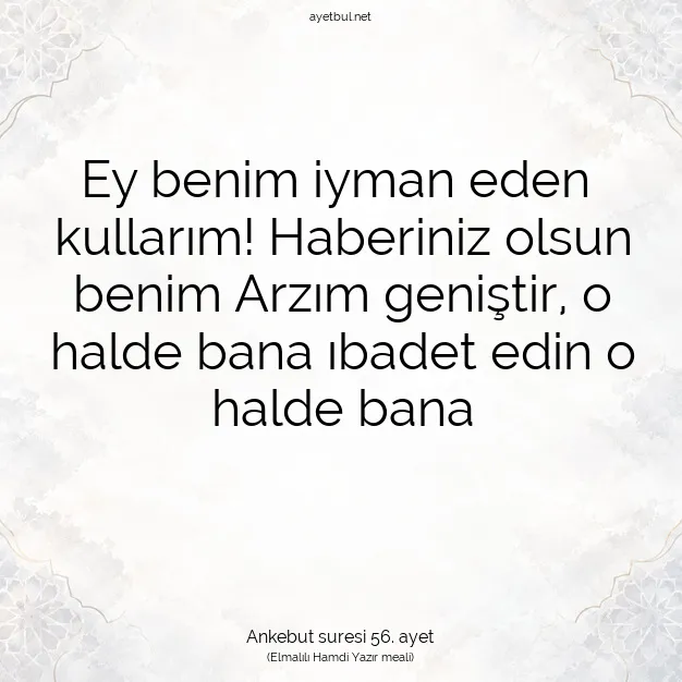 Ayetbul | Kuran Mealleri | Quran | Ankebut suresi 56. ayet