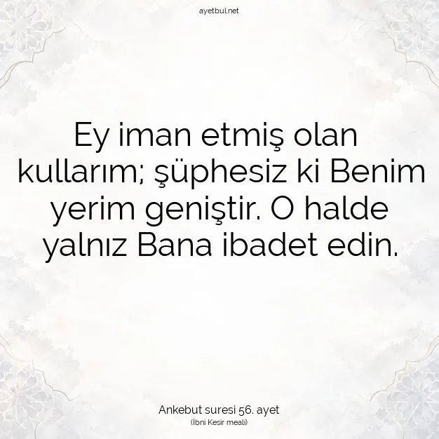 Ayetbul | Kuran Mealleri | Quran | Ankebut suresi 56. ayet