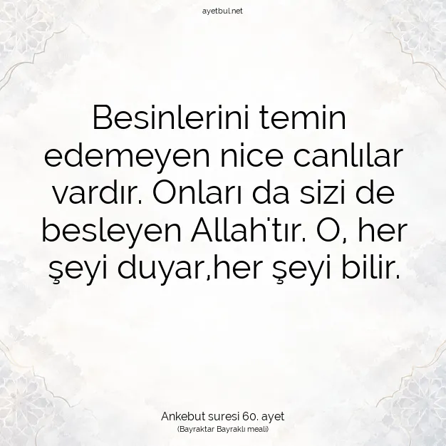 Ayetbul | Kuran Mealleri | Quran | Ankebut suresi 60. ayet