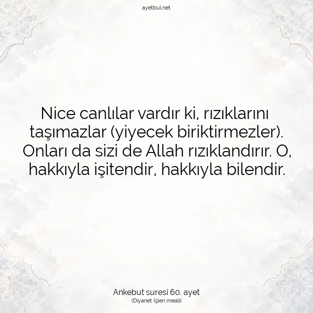 Ayetbul | Kuran Mealleri | Quran | Ankebut suresi 60. ayet