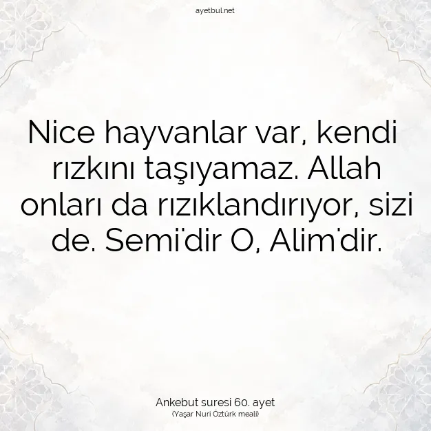Ayetbul | Kuran Mealleri | Quran | Ankebut suresi 60. ayet