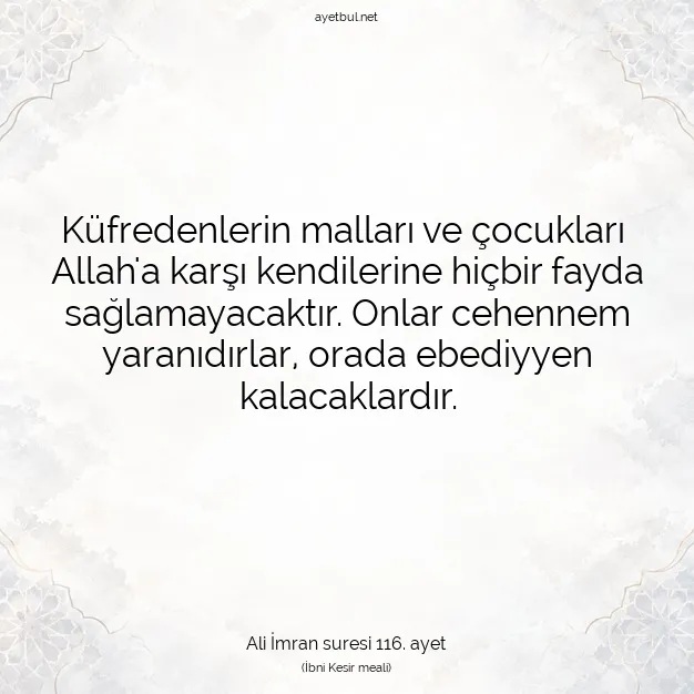 Ayetbul | Kuran Mealleri | Quran | Ali İmran suresi 116. ayet