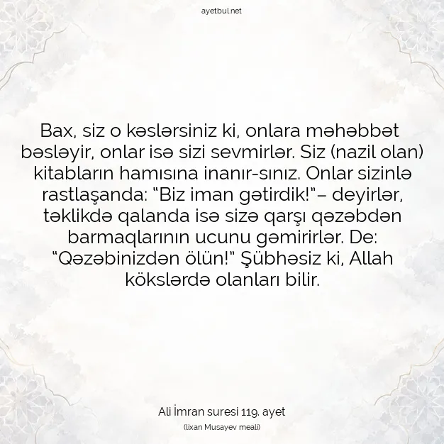 Ayetbul | Kuran Mealleri | Quran | Ali İmran suresi 119. ayet
