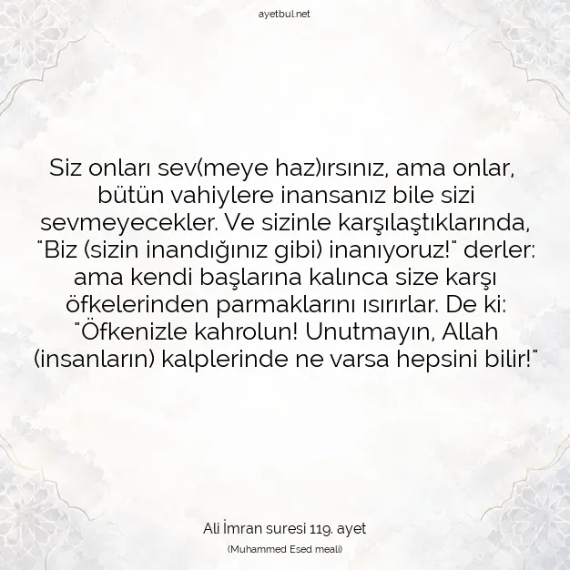 Ayetbul | Kuran Mealleri | Quran | Ali İmran suresi 119. ayet