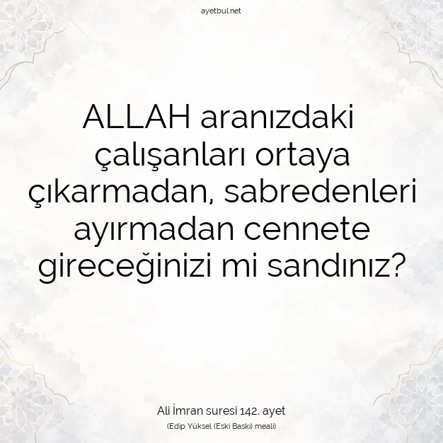 Ayetbul | Kuran Mealleri | Quran | Ali İmran suresi 142. ayet