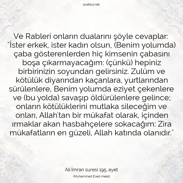 Ayetbul | Kuran Mealleri | Quran | Ali İmran suresi 195. ayet