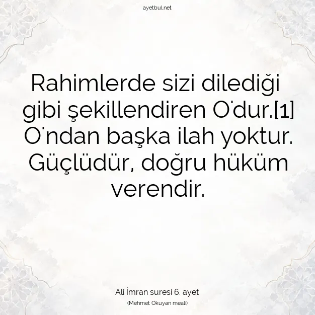 Ayetbul | Kuran Mealleri | Quran | Ali İmran suresi 6. ayet
