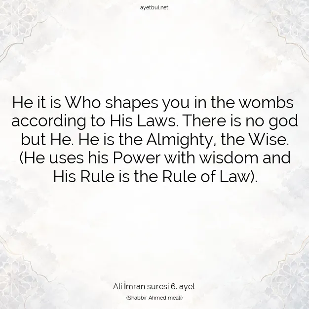 Ayetbul | Kuran Mealleri | Quran | Ali İmran suresi 6. ayet