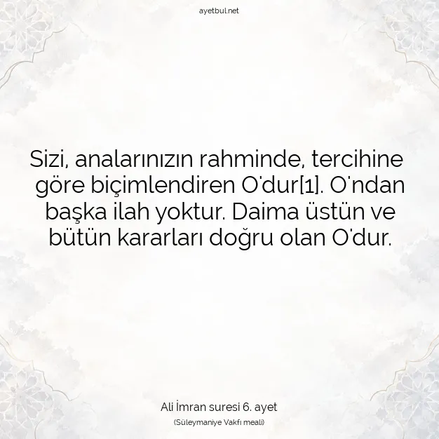 Ayetbul | Kuran Mealleri | Quran | Ali İmran suresi 6. ayet