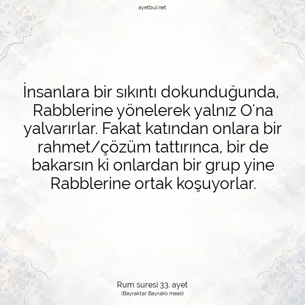 Ayetbul | Kuran Mealleri | Quran | Rum suresi 33. ayet