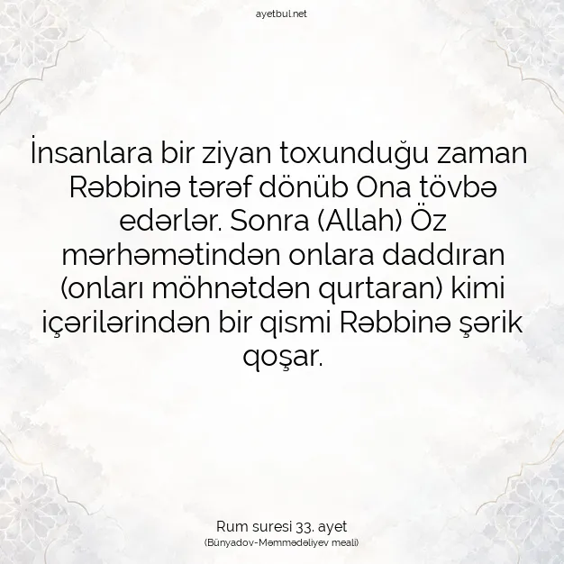 Ayetbul | Kuran Mealleri | Quran | Rum suresi 33. ayet