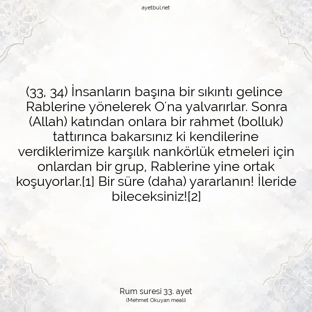 Ayetbul | Kuran Mealleri | Quran | Rum suresi 33. ayet
