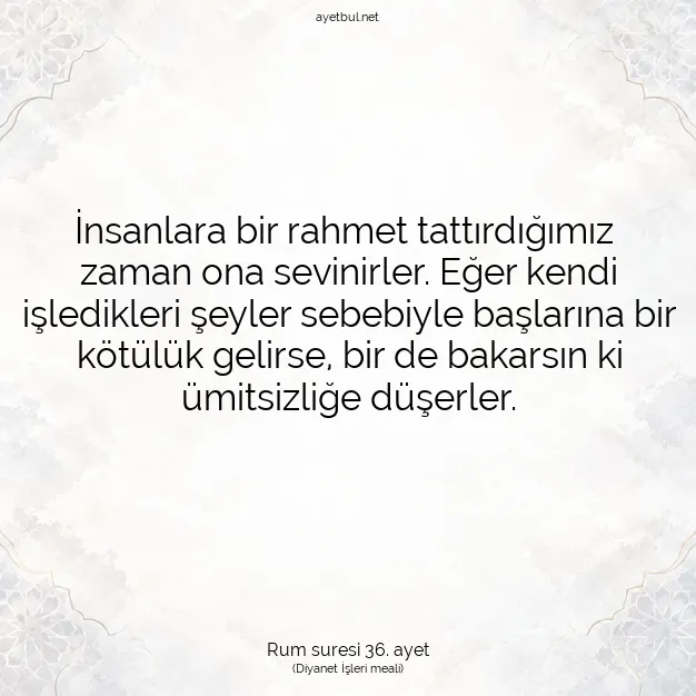 Ayetbul | Kuran Mealleri | Quran | Rum suresi 36. ayet