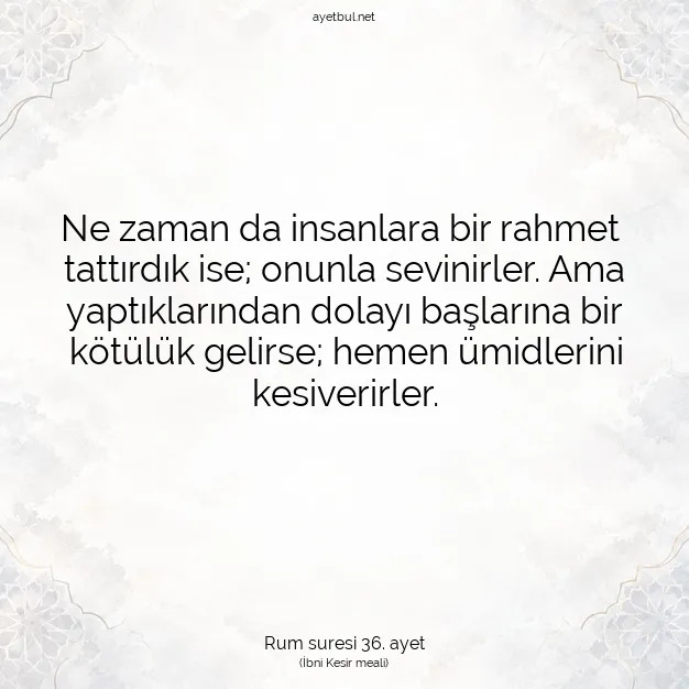 Ayetbul | Kuran Mealleri | Quran | Rum suresi 36. ayet