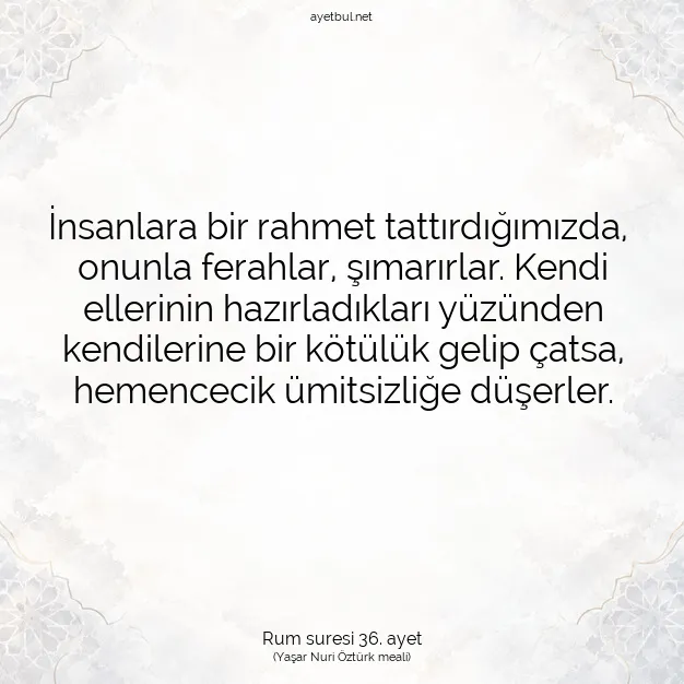 Ayetbul | Kuran Mealleri | Quran | Rum suresi 36. ayet