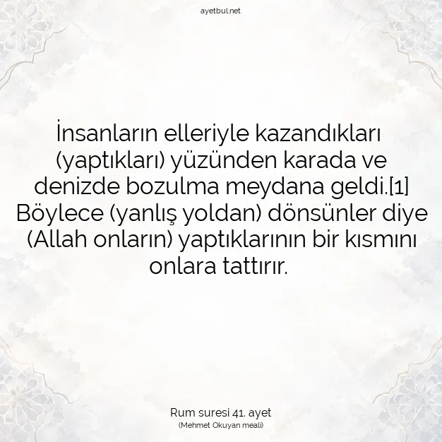 Ayetbul | Kuran Mealleri | Quran | Rum suresi 41. ayet