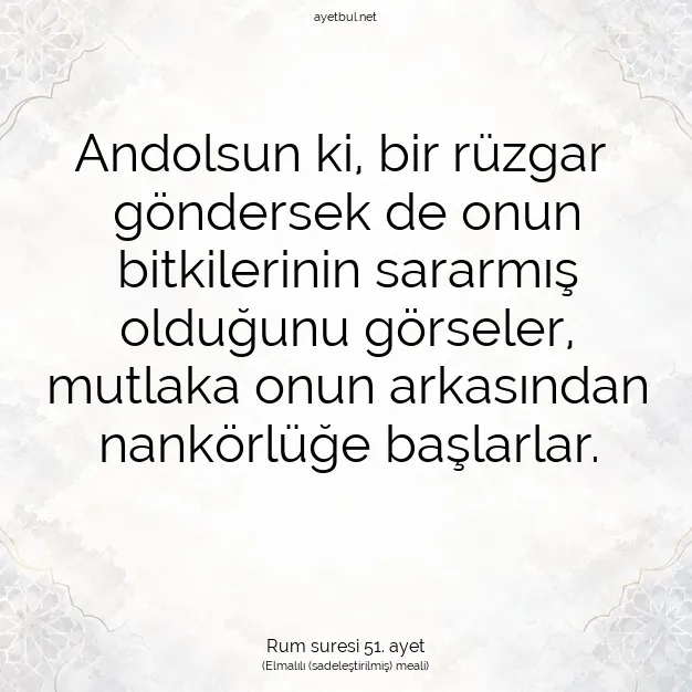 Ayetbul | Kuran Mealleri | Quran | Rum suresi 51. ayet