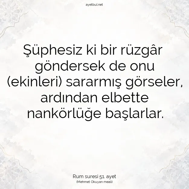 Ayetbul | Kuran Mealleri | Quran | Rum suresi 51. ayet