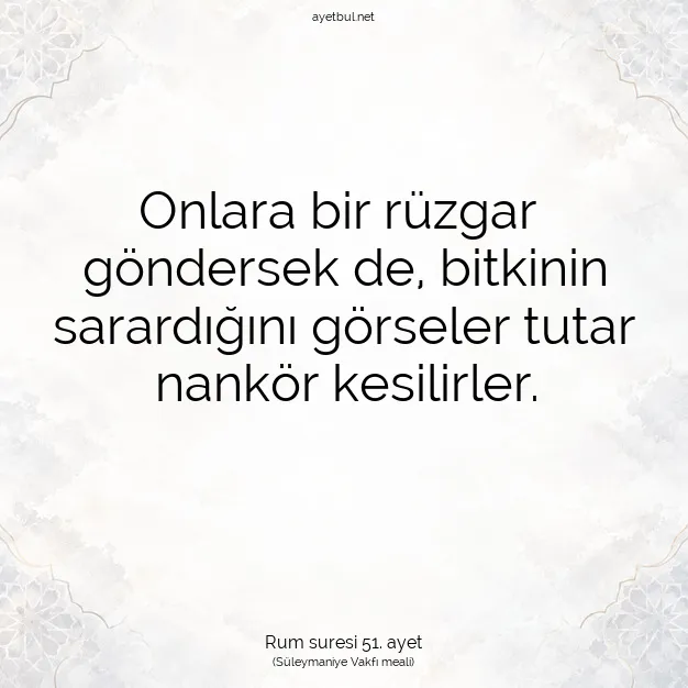 Ayetbul | Kuran Mealleri | Quran | Rum suresi 51. ayet