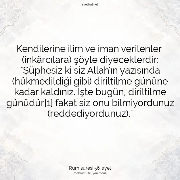 Ayetbul | Kuran Mealleri | Quran | Rum suresi 56. ayet
